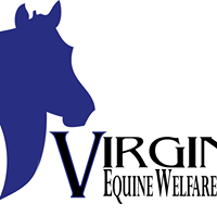 Virginia Equine Welfare Society (VEWS)